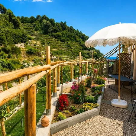 Il Cedro Vacation On The Lemons Path Apartment *