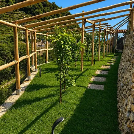 Il Cedro Vacation On The Lemons Path 미노리